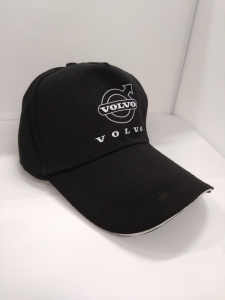 Volvo lippis